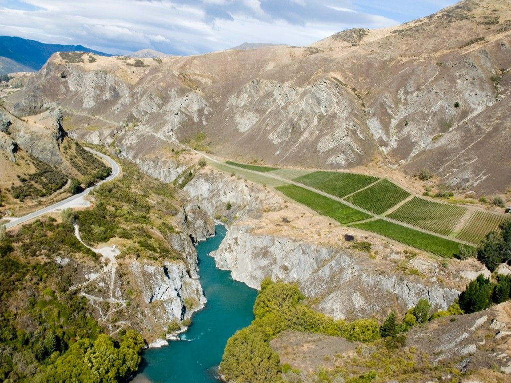 Vineyards
