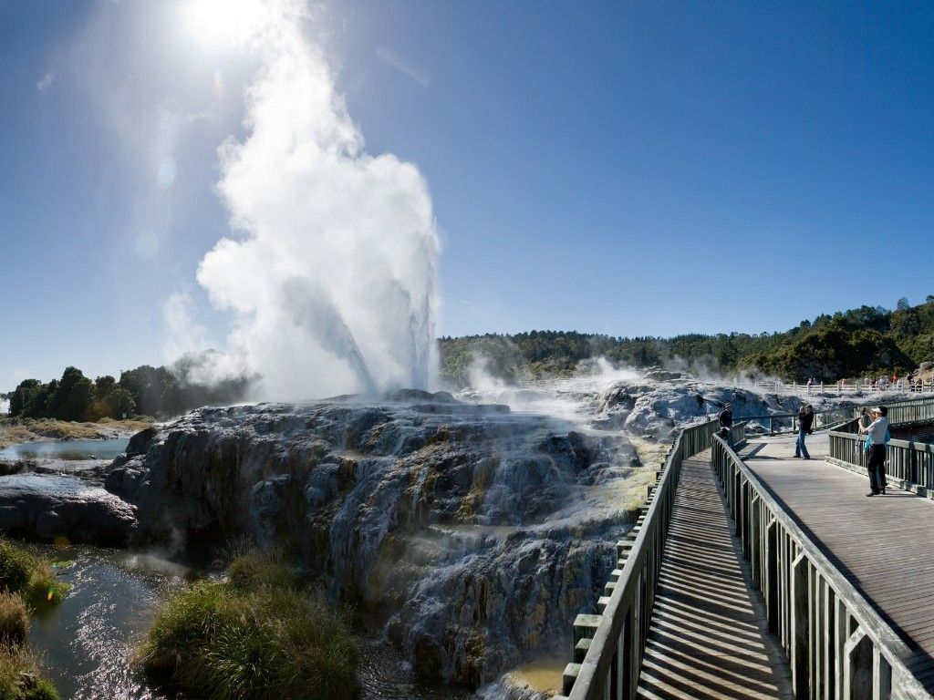 Te Puia - Geothermal Valley 