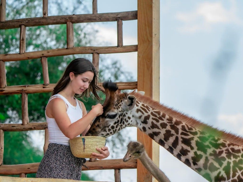 Close encounters with iconic animals