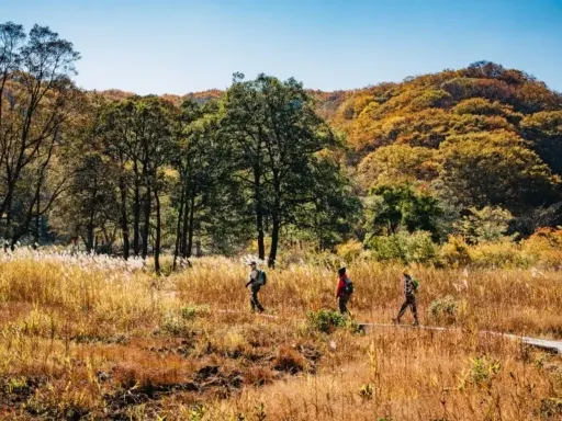 SHINETSU NATURE AND CULTURE