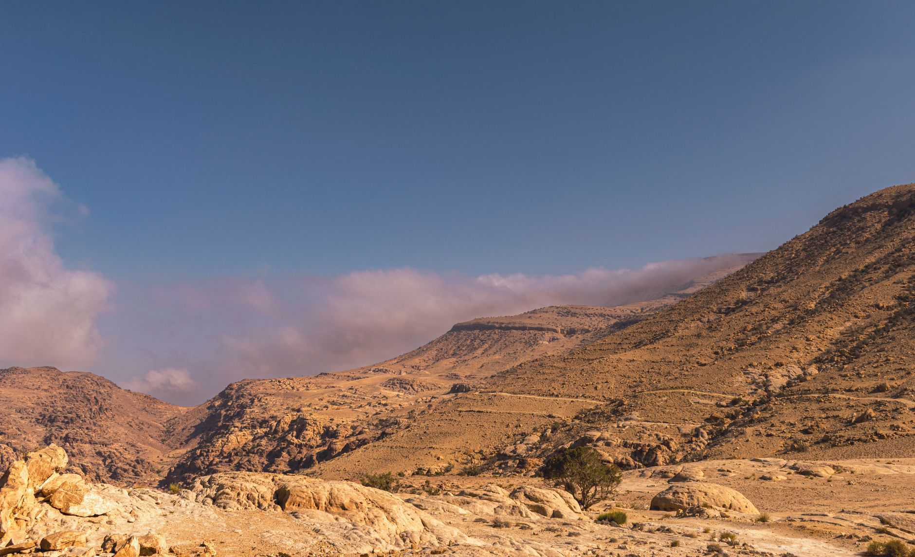 Shobak