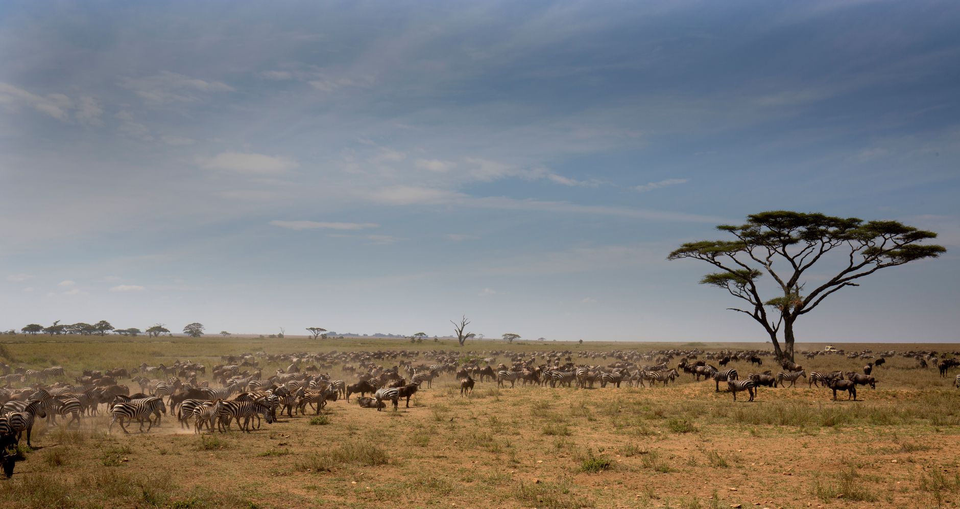 Northern Serengeti