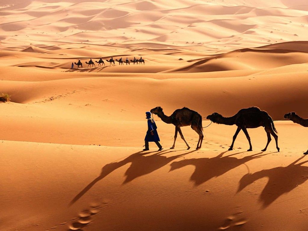 Sahara