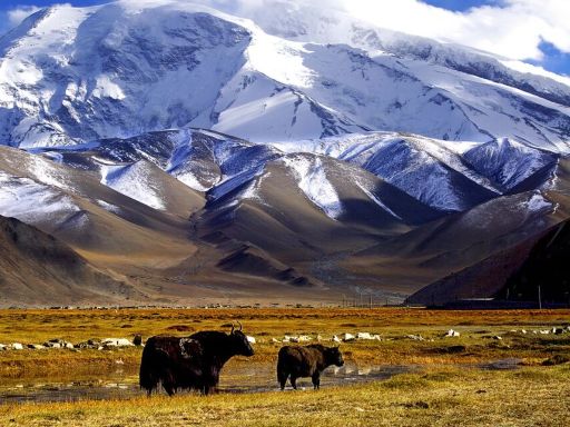 CHARMING SOUTH XINJIANG • PAMIR PLATEAU + GOLDEN AUTUMN POPLAR FOREST