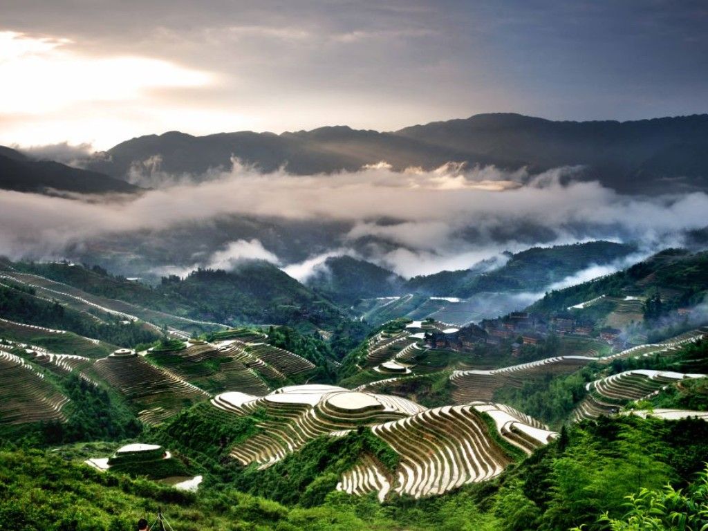 Longji Rice Terraces