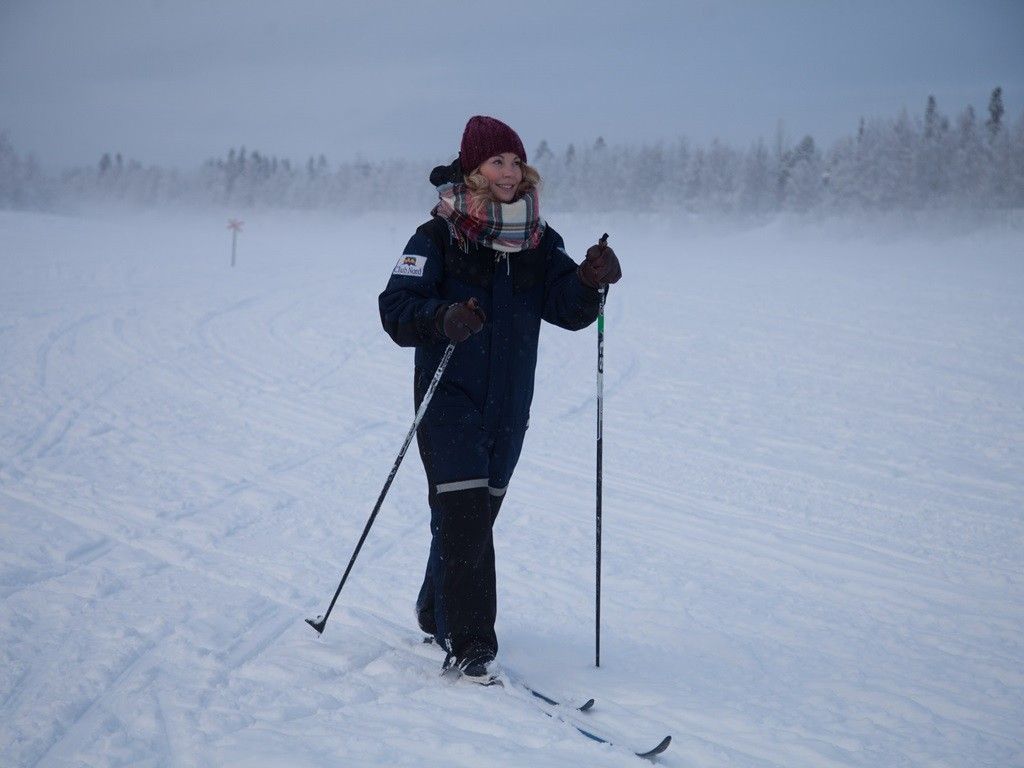 Cross country ski