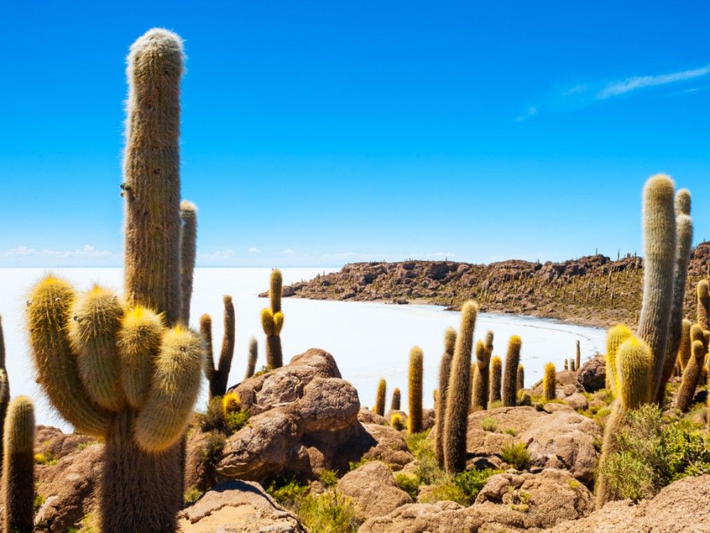 Incahuasi Island