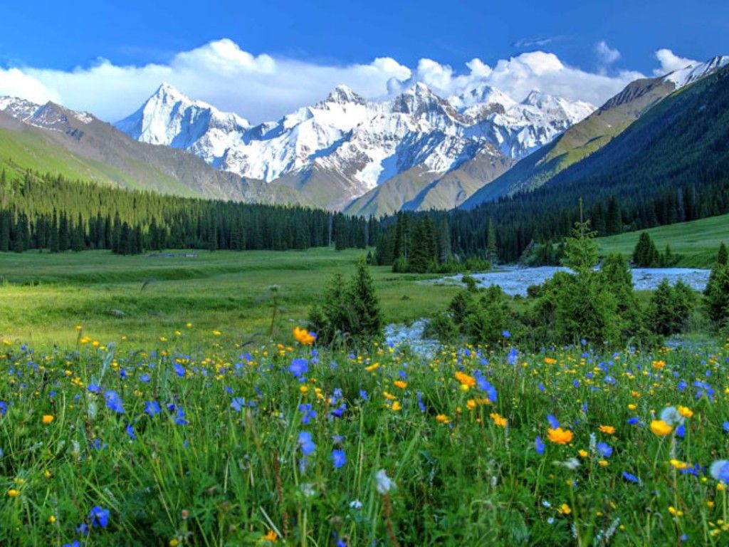 AMAZING SILKROAD + NORTHERN XINJIANG
