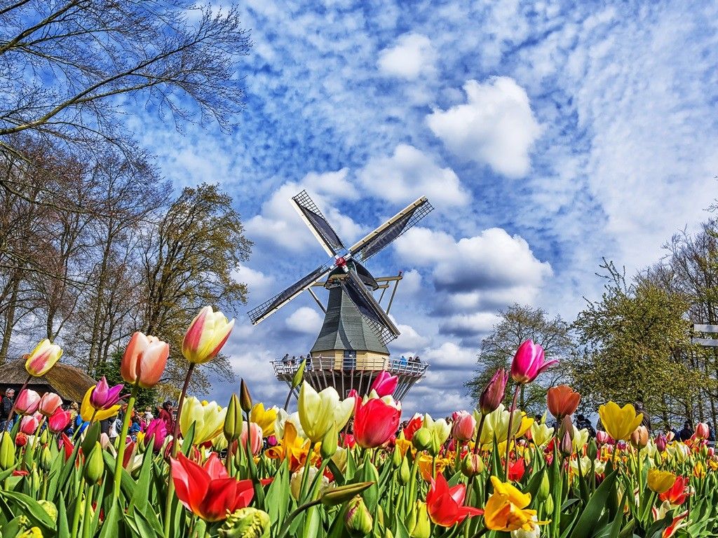 JEWELS OF BELGIUM & THE NETHERLANDS