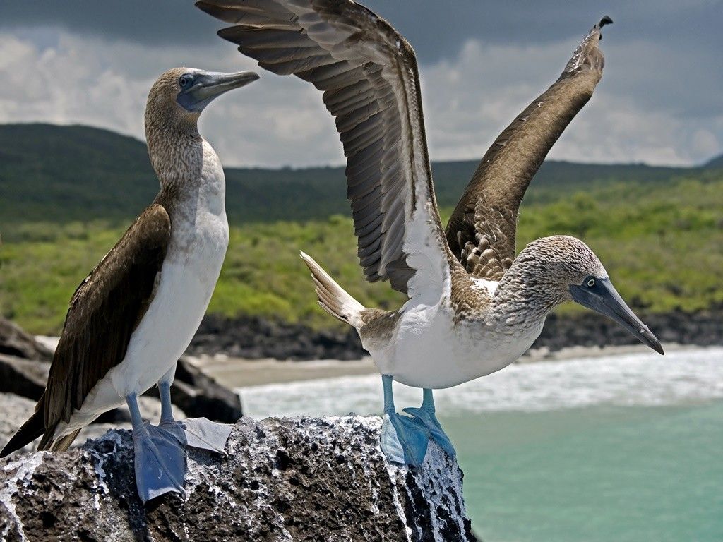 BEST OF COLOMBIA, ECUADOR, GALAPAGOS ISLANDS & PANAMA