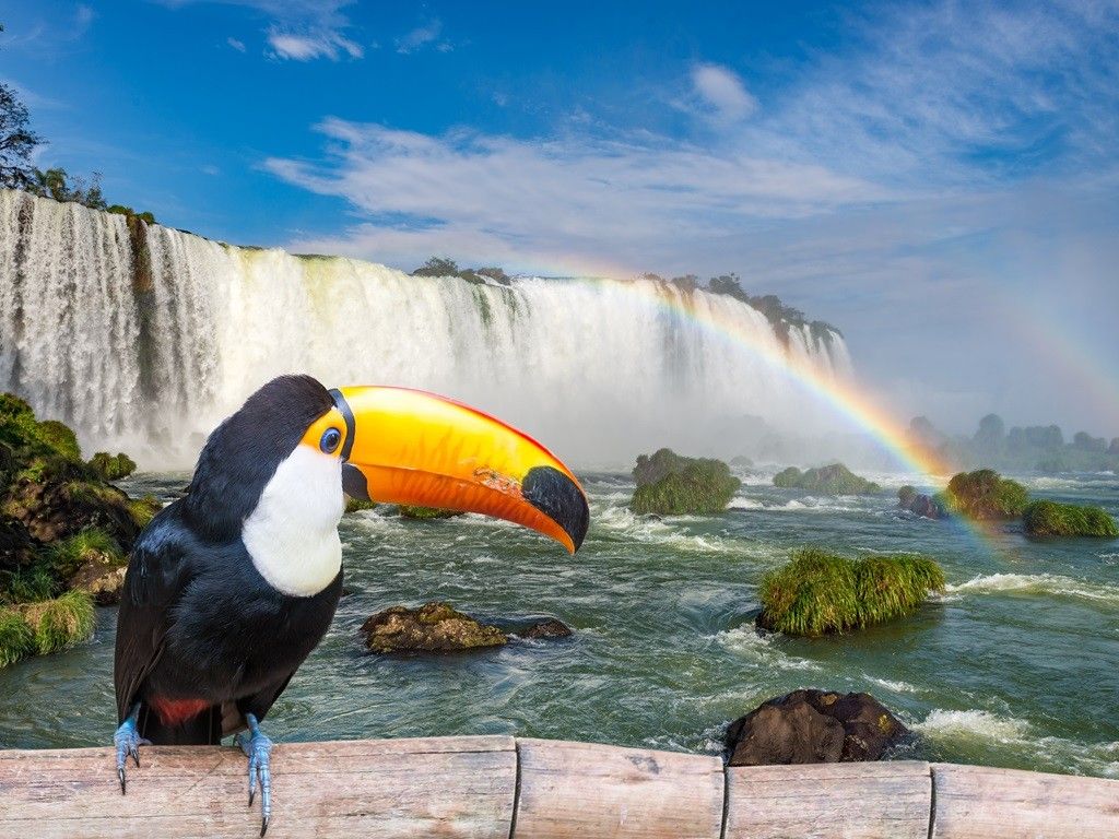 BEST OF SOUTH AMERICA - ARGENTINA, BOLIVIA, BRAZIL & PERU