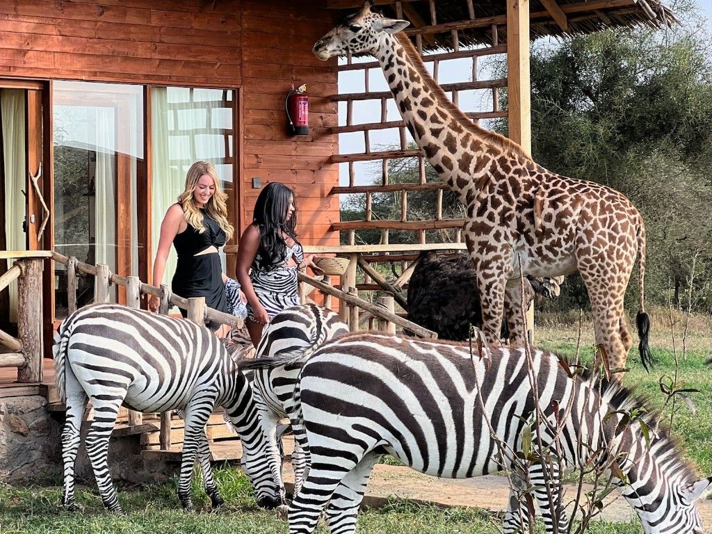 TANZANIA: LUXURY SAFARIS, KILIMANJARO TREK & CULTURAL EXPERIENCES